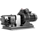 Rotary Pump
